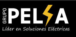 Grupo Pelsa